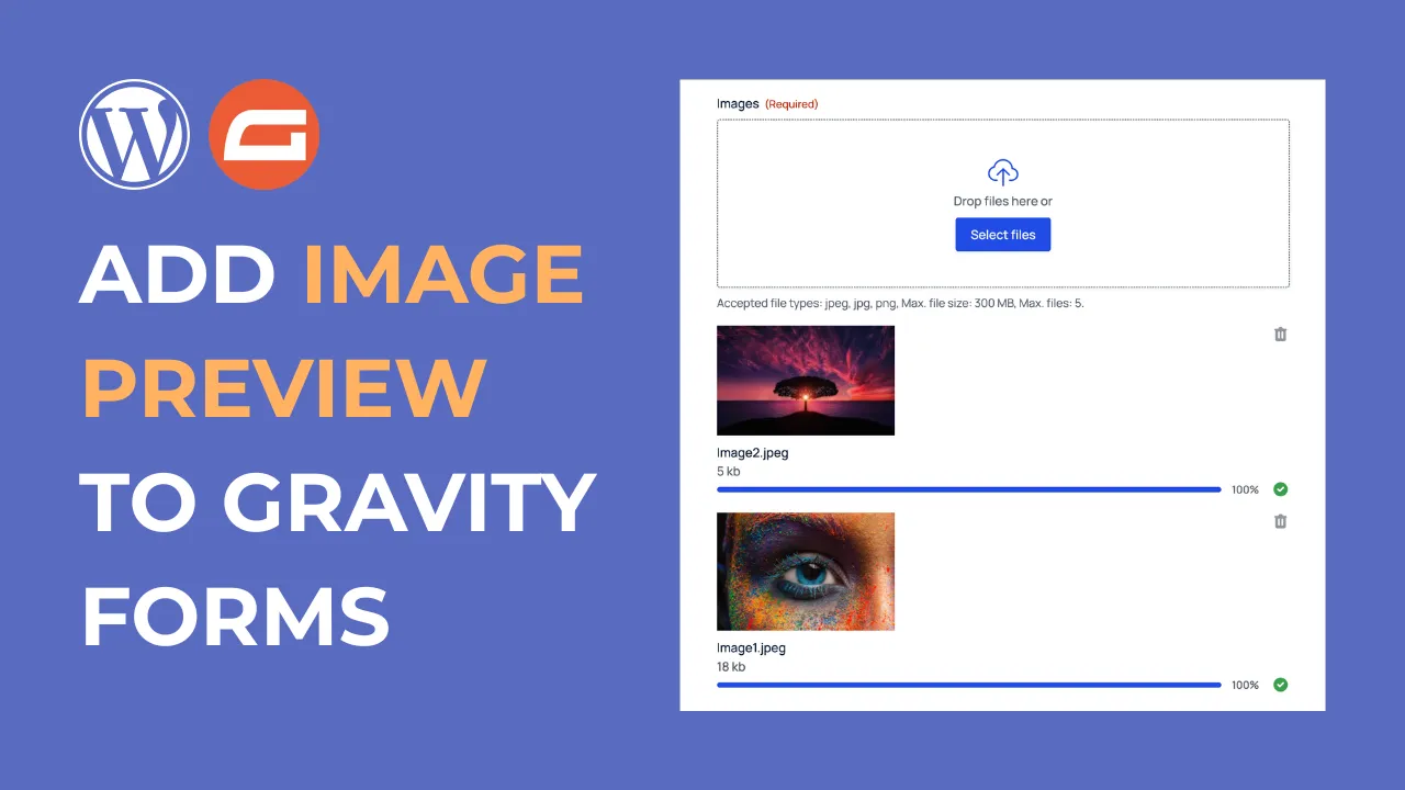 How to add image preview to Gravity Forms Cover